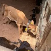 ひかる