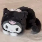 みのちゃの画像