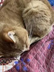 ちあき