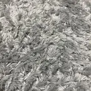 てぃの画像
