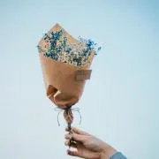 りんご。の画像