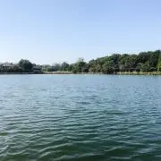 MIKI