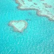 moon【プロフ必読】フォロー割5％の画像