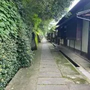 Pさんの画像