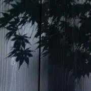 ほの