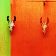 moの画像