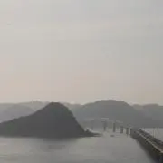 レックス
