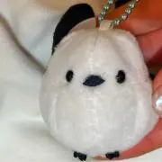 aoi.の画像