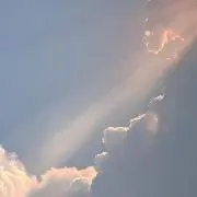 ゆき