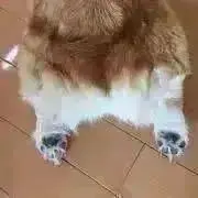 rieの画像