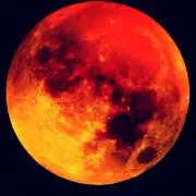 REDの画像