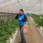 Yuki Karyu