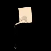 Nao