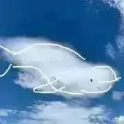 シロイみいの画像