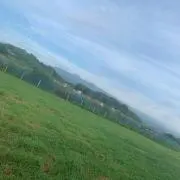 あんだーあーまーの画像