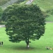 akiの画像