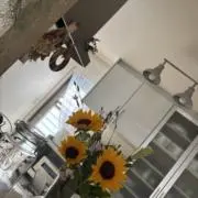 もんきち