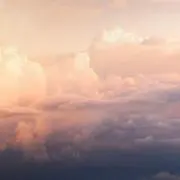 a プロフ欄必読