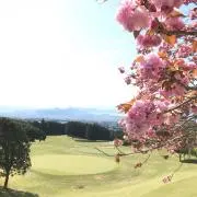 かてんの画像