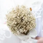 moの画像