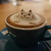 shokoの画像