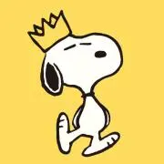 CEM  24時間以内発送の画像