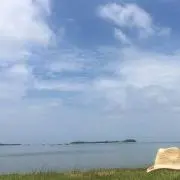 たくてぃー