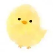 ひよこ豆の画像