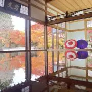 TKGの画像