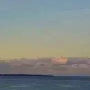 実の画像