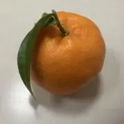 ご購入前にコメント下さい！の画像