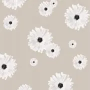 ぽん