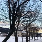 吉