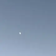 sの画像