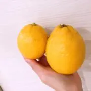 ホットレモン