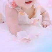彗の画像