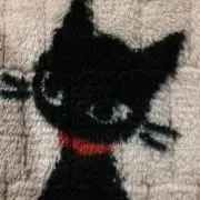 ゆずち