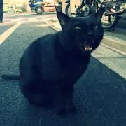 okayuの画像