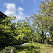 umeka2000の画像