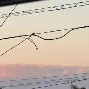 gtプロフ必読の画像