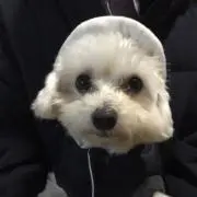 もんち✴︎即購入ok✴︎