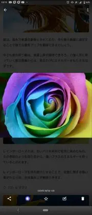 ❀31e380⑤088n50❀の画像