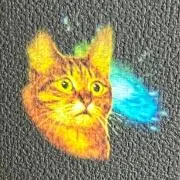 どっすぃーの画像