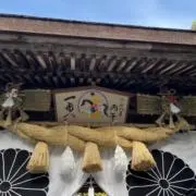 沙羅樹