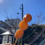 おさかな【即日発送】の画像