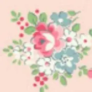 ももの画像