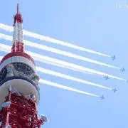引っ越し中〜の画像