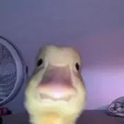 か