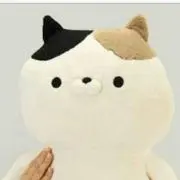 ゆりあんの画像