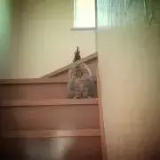 ぬん